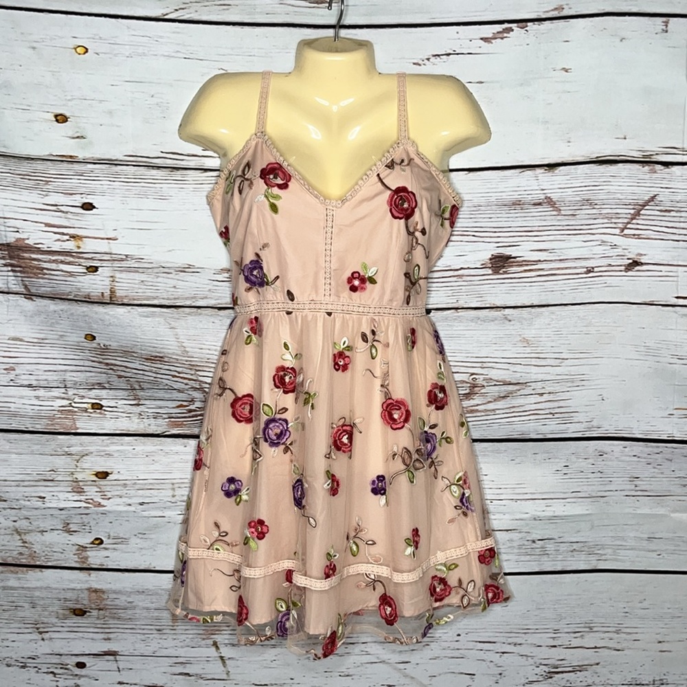BB Dakota Size 4 Pink - Floral Embroidered Lace Trim Fit & Flare Dress